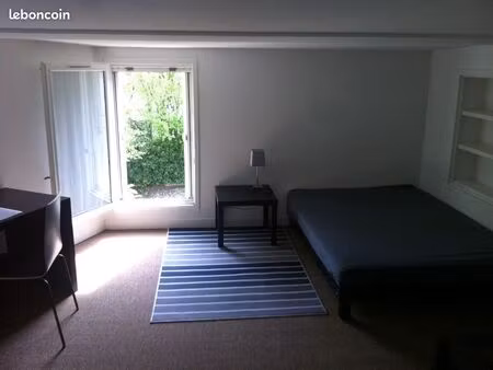 beau duplex - zone verte classée - centre ville - calme