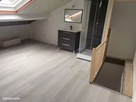 bel f2 de 46 m² en centre ville