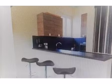 charmant studio meublé de 20 m² avec cave et jardin commun