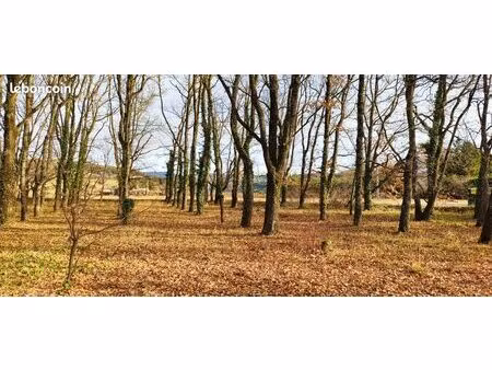 terrain plat 1 000 m² au calme