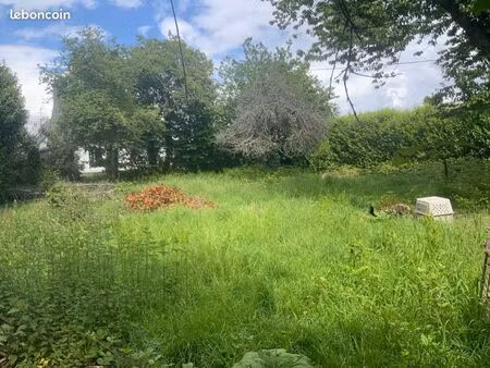 terrain constructible