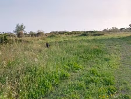 terrain à louer