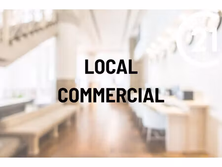immobilier professionnel à louer annecy