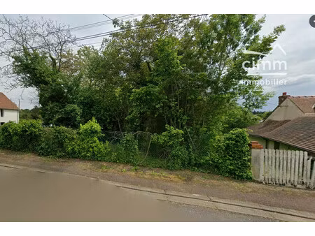 terrain constructible nogent-sur-vernisson