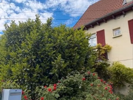 maison jardin terrasse
