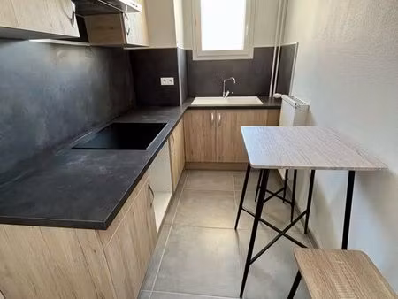 beau t1 rénové 27 m2+ garage
