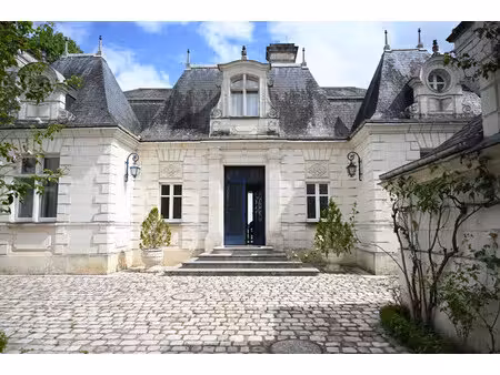 chateau à vendre à loches (37600) - indre-et-loire