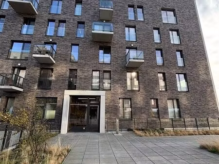 appartement à louer à scheldeoever 12 hemiksem (rbw16362)