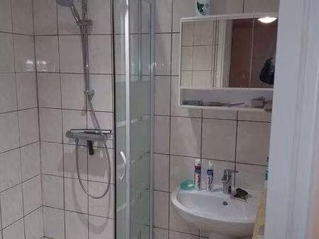 location appartement t1 meublé à huningue (68330) : à louer t1 meublé / 20m² huningue