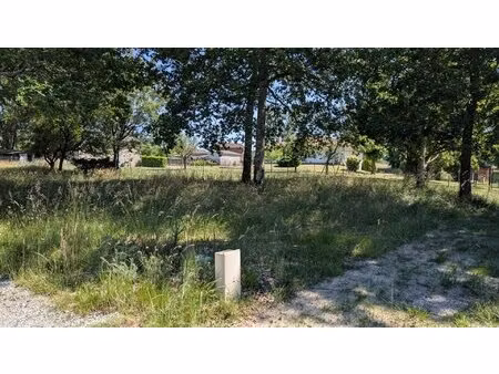 terrain