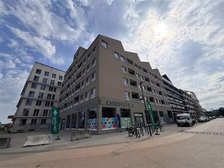 appartement à louer à lange lobroekstraat 118 anvers (rbw16407)