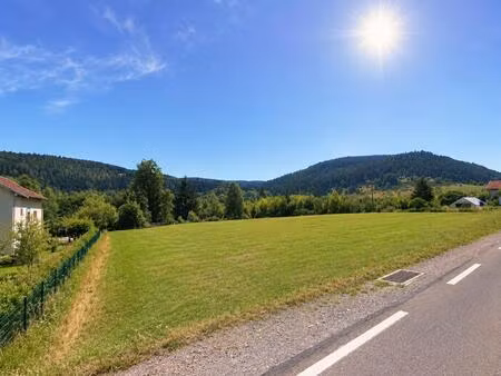 gérardmer terrain commercial activités économiques