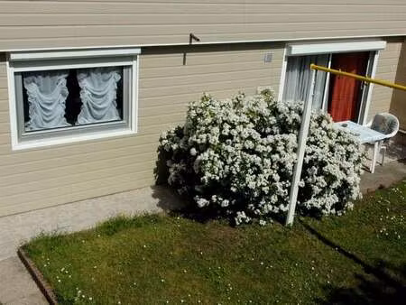 location appartement t1 meublé à saint-malo (35400) : à louer t1 meublé / 25m² saint-malo