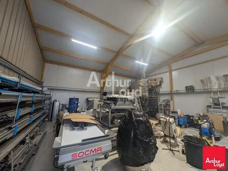 vente local d’activités bellevigne les chateaux 49260 872m²
