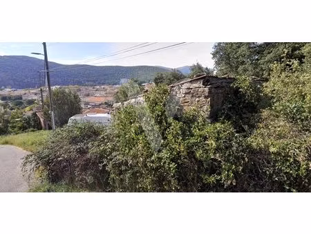 terrain