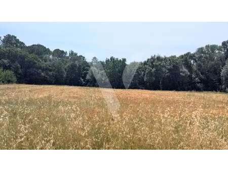 terrain