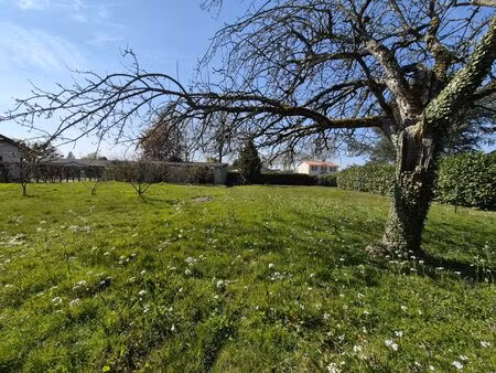 achat terrain 1 170m² pont de vaux 01190