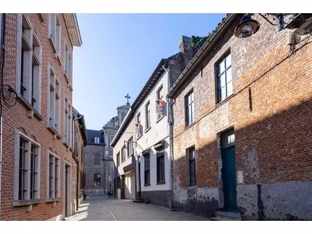 te renoveren herenwoning in hartje aalst!