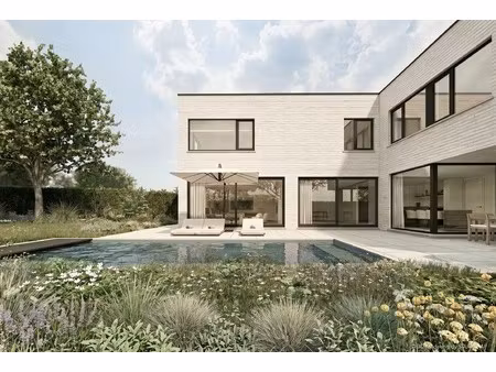 luxevilla met zwembad in bosrijk kasterlee