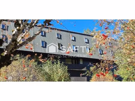 vente appartement 6 pièces 105 m² mont-dore (63240)