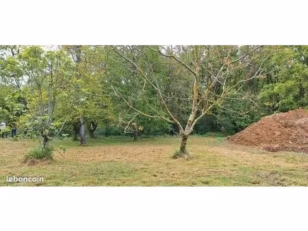 terrain 1 200 m² brax