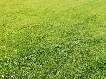 terrain 406 m² saint brandan