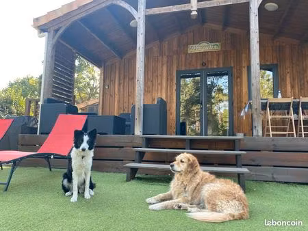 chalet prestige vue forêt