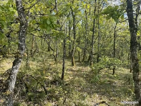 terrain 5 047 m² cuzance