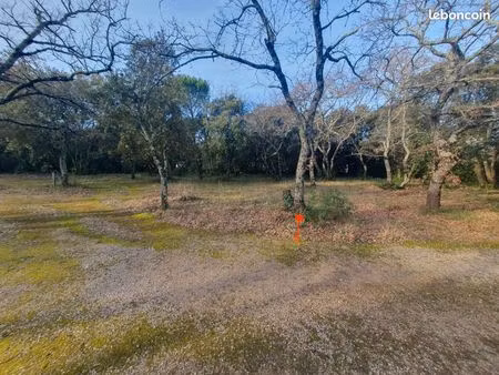 terrain 1 200 m² saint siffret