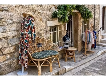 annonce commerce à vendre