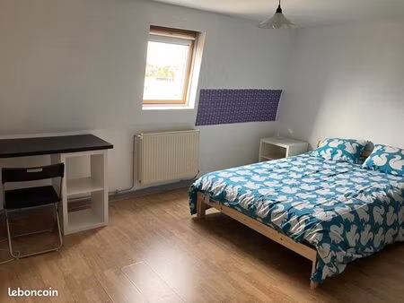 chambre location lille meublée