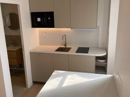 studio 17m2 paris 11 entièrement refait