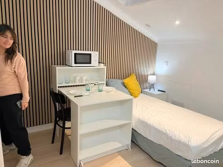 studio meublé rénové – bail mobilité - fibre  tv  lave-linge – tout compris