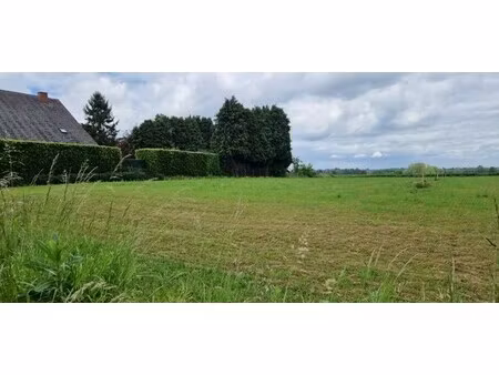 grond te koop in walshoutem