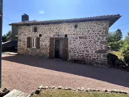 charmante maison en pierre de deux chambres  granges et jardin