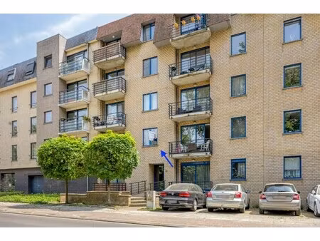 appartement te koop in kessel-lo met 2 slaapkamers