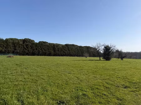vente terrain 1000 m² mazères (33210)