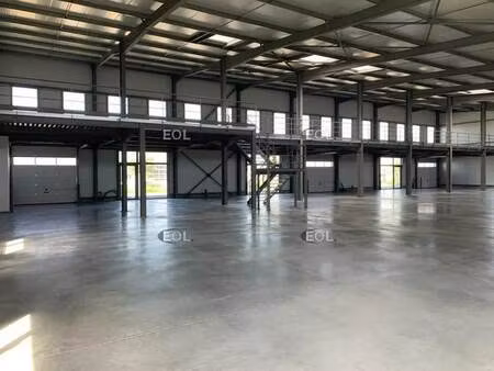 vente local d'activités 313 m² à 1 181 m²