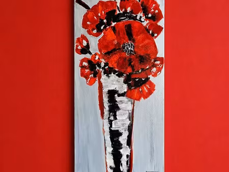 maison à alénya (66200)