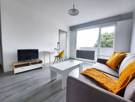 f1 meublé de 24m2 + balcon + cave