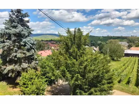 bergholtzzell (68500)