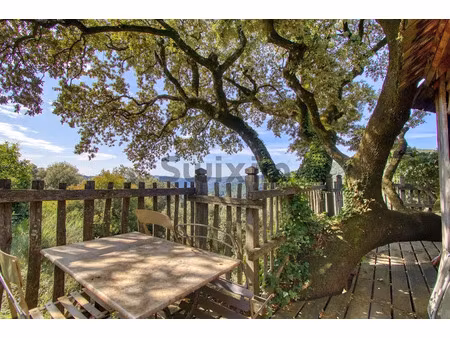 vente maison 9 pièces 235 m² à ventalon en cévennes (48160)  398 000 €
