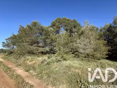 terrain agricole à pinet (34850)