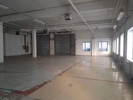 vente entrepôt villepinte 93420 610m²