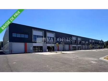 location local d’activités villeneuve les avignon 30400 305m² à 9275m²