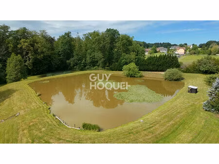etang de 30 ares sur un terrain de 95 ares à st cosme