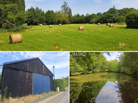 achat terrain 14 393m² st calais 72120
