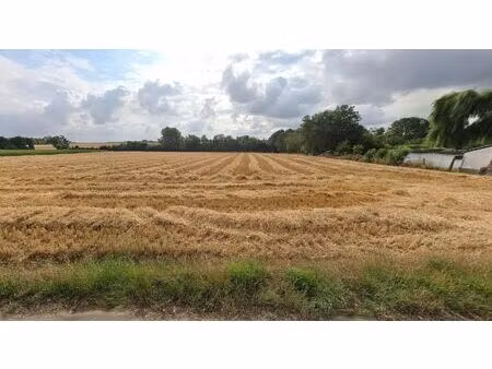 terrain à vendre à rue de pontillas 61 forville (vbe32346)