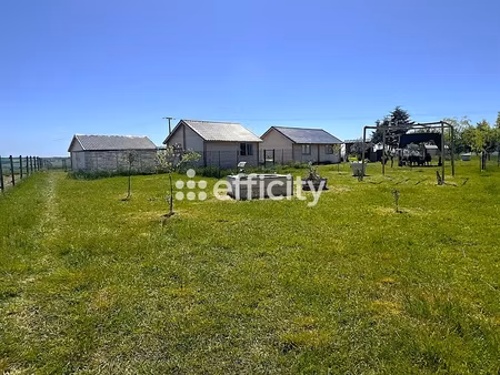 terrain - 8516 m²