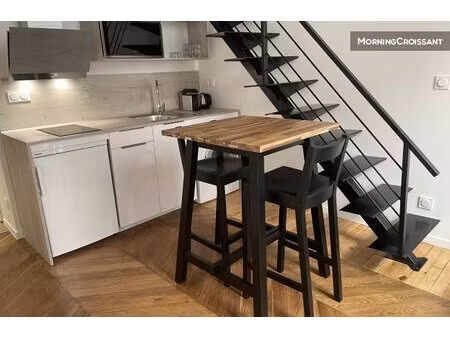 duplex lyon 1er